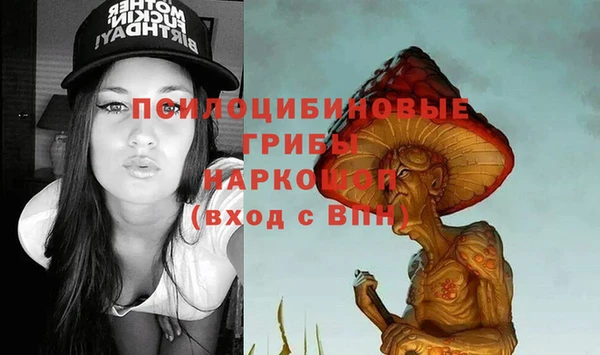 ГАЛЛЮЦИНОГЕННЫЕ ГРИБЫ Краснослободск