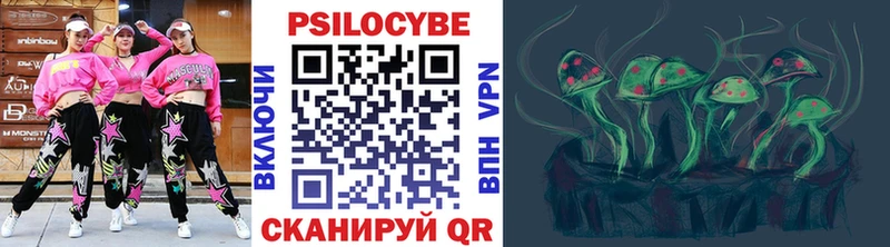 Псилоцибиновые грибы прущие грибы  купить наркотик  Ильский 
